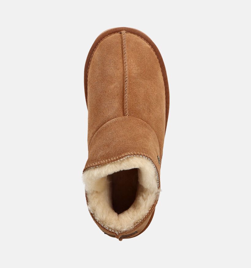 Warmbat Willow Pantoufles fermées en Cognac pour femmes (362527)