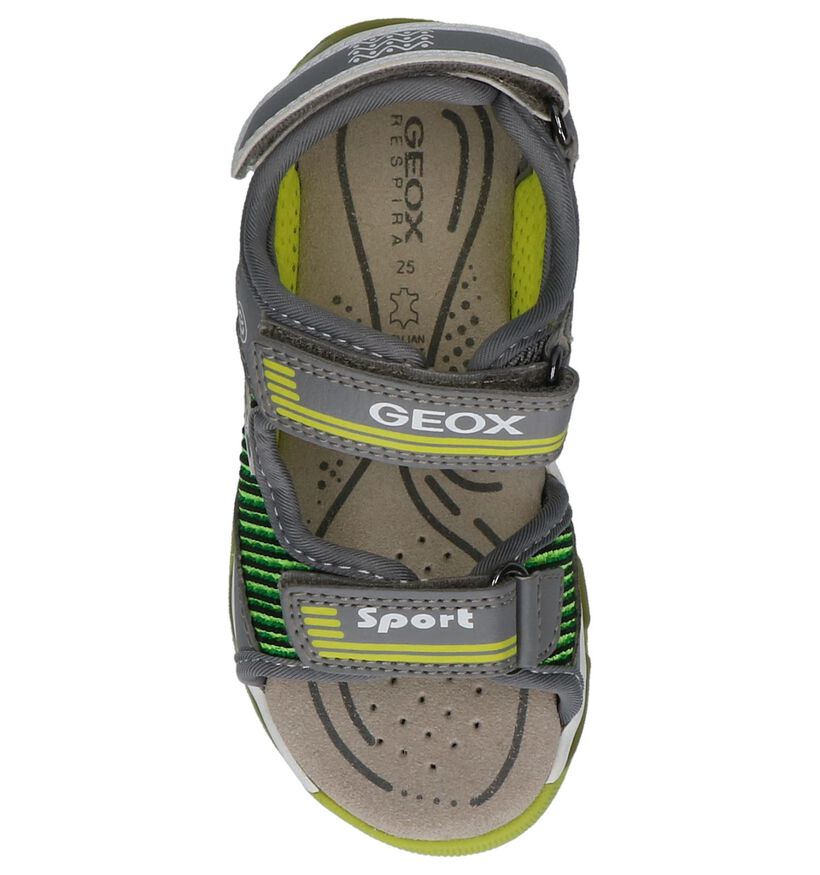 Geox Grijze Sportieve Sandalen met Lichtjes, , pdp