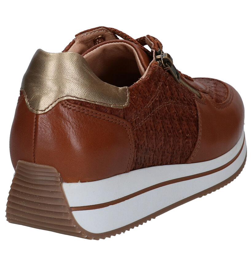 River Woods Amara Cognac Veterschoenen in leer (298429)