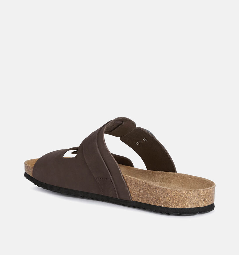 Geox Bruine Slippers voor heren (367992)