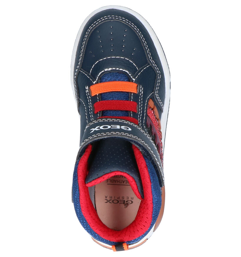 Geox Inek Baskets en Bleu en simili cuir (254511)