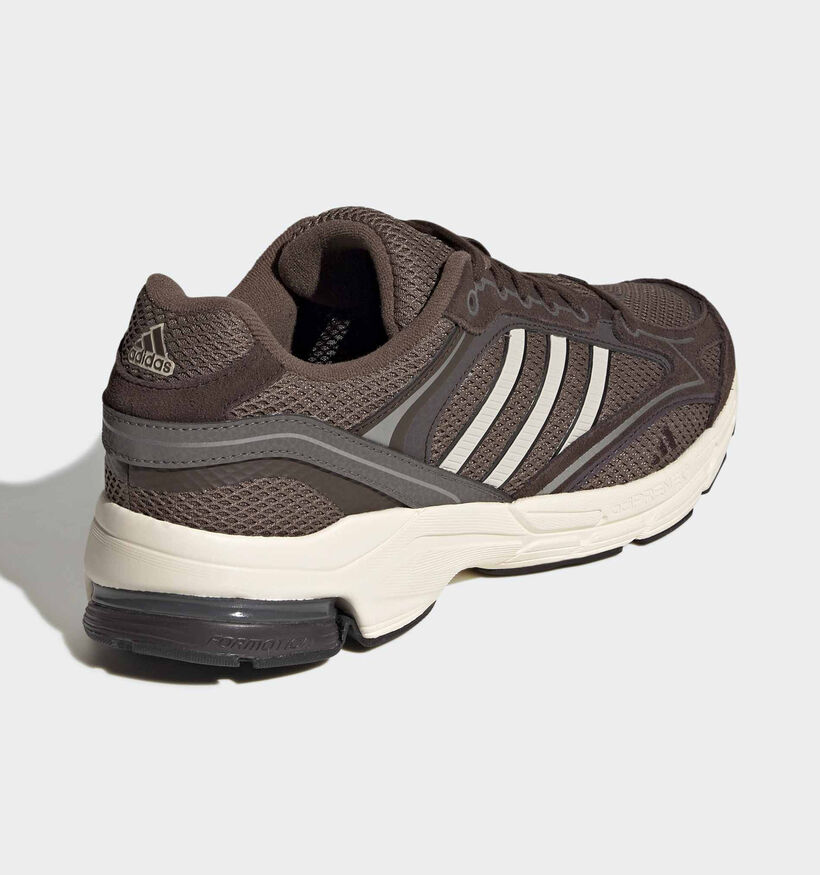 adidas Spiritain 2000 Baskets en Brun pour femmes (375348)