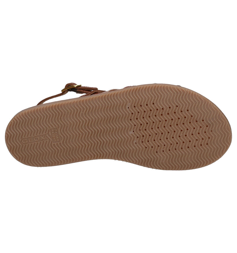 Geox Sandales en Cognac en cuir (267455)