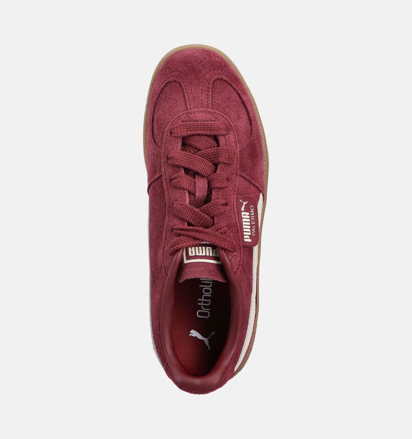 Puma Palermo Bordeaux Sneakers voor dames (359151) - geschikt voor steunzolen