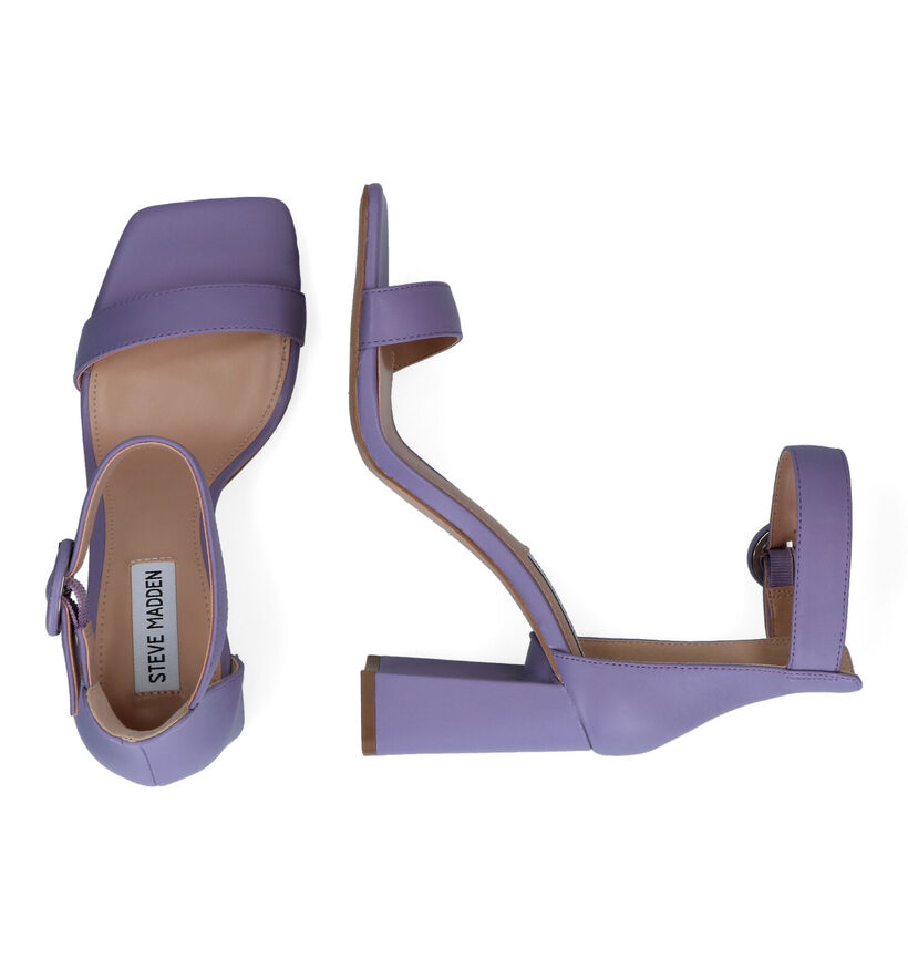 Steve Madden Riveting Sandales en Violet pour femmes (305353)