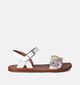 Pom d'Api Plagette Multi Flo Witte Sandalen voor meisjes (354608)