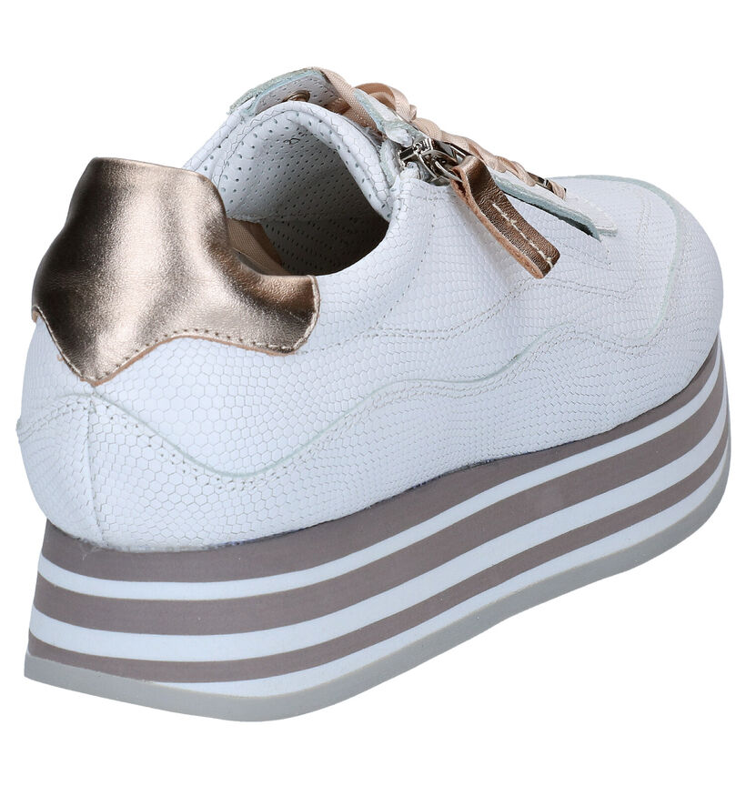 Nathan-Baume Chaussures &agrave; lacets en Blanc en cuir (290021)