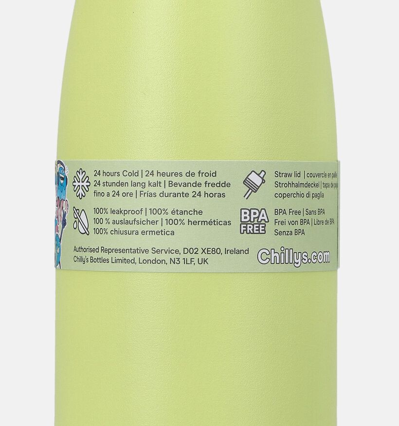 Chilly's Kids Bottle Gourde en Vert 350ml pour filles, gar&ccedil;ons (381610)