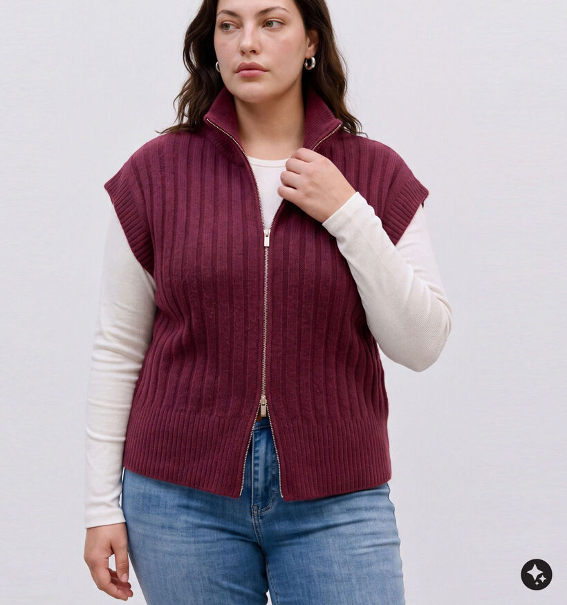 Vero Moda Curve Bang Rib Highneck Bordeaux Vest voor dames (378113)