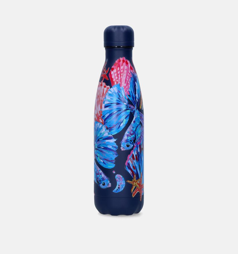 Chilly’s x Tropical Reef Gourde en Bleu 500ml pour filles, hommes, femmes, garçons (348995)