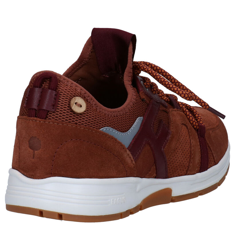 Faguo Willowsocks Cognac Sneakers in daim (280265)