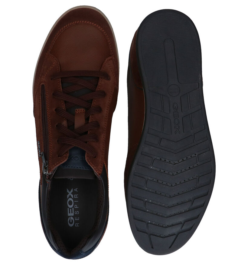 Geox Renan Chaussures à lacets en Brun en daim (278959)