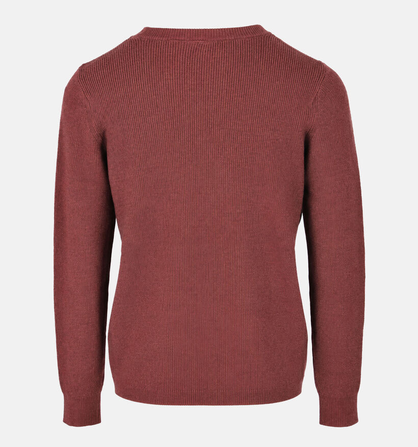 Fransa Maria Bordeaux Trui voor dames (377912)