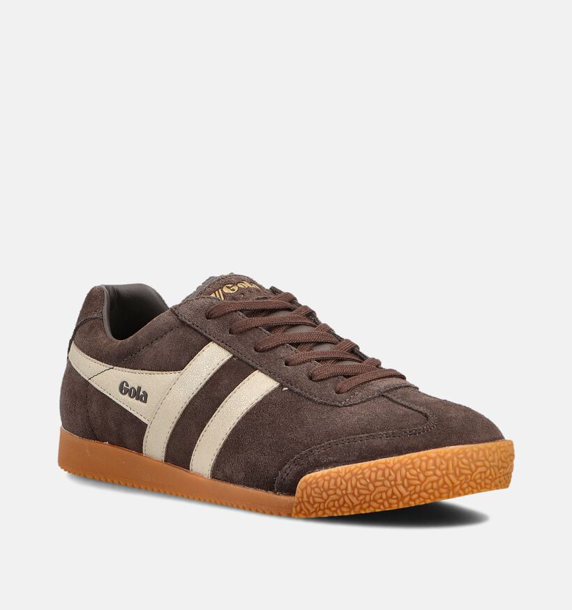 Gola Harrier Mirror Baskets en Brun foncé pour femmes (360804) - pour semelles orthopédiques
