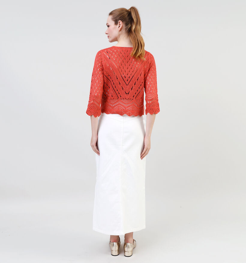 JDY New Sun Oranje Cropped Trui voor dames (341115)