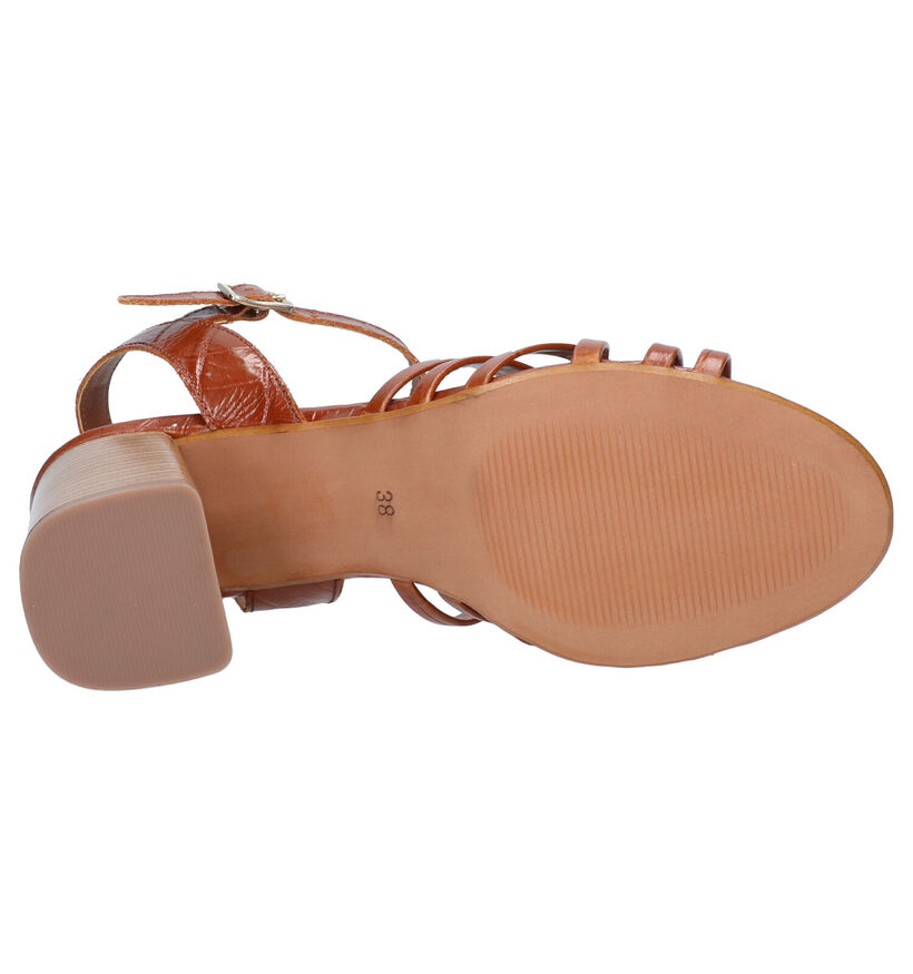 Hampton Bays Cognac Sandalen in leer (272620)