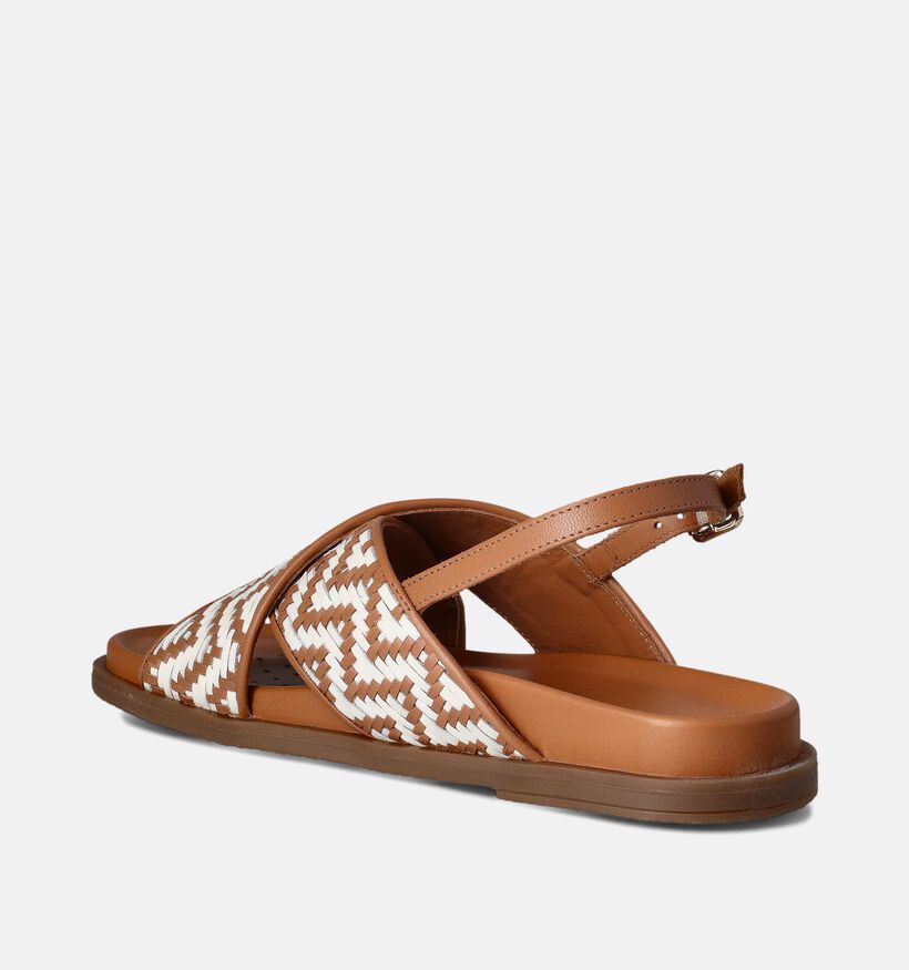 Geox Adelash Bruine Sandalen Chevron voor dames (351674)