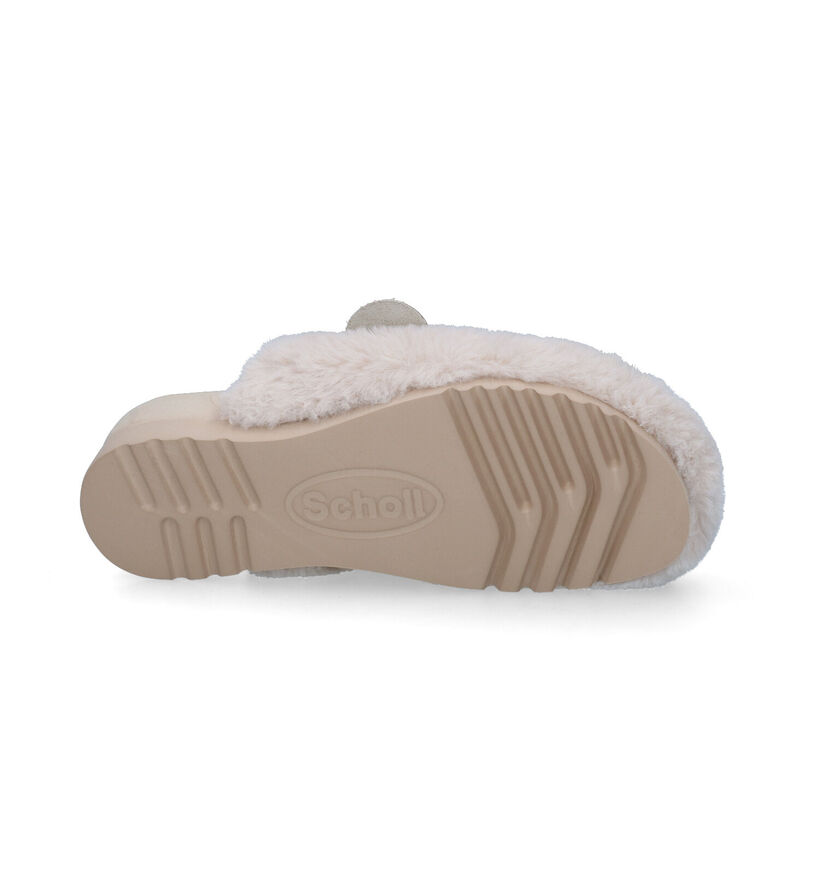 Scholl Alaska Pantoufles en Noir pour femmes (316949)