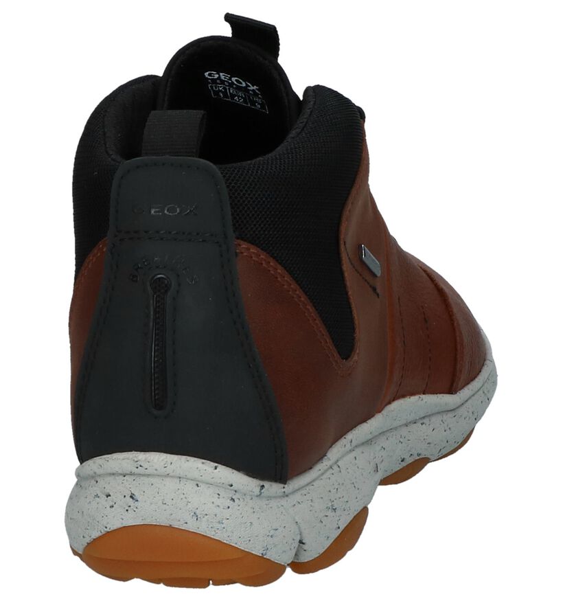 Geox Chaussures hautes en Cognac en cuir (223484)