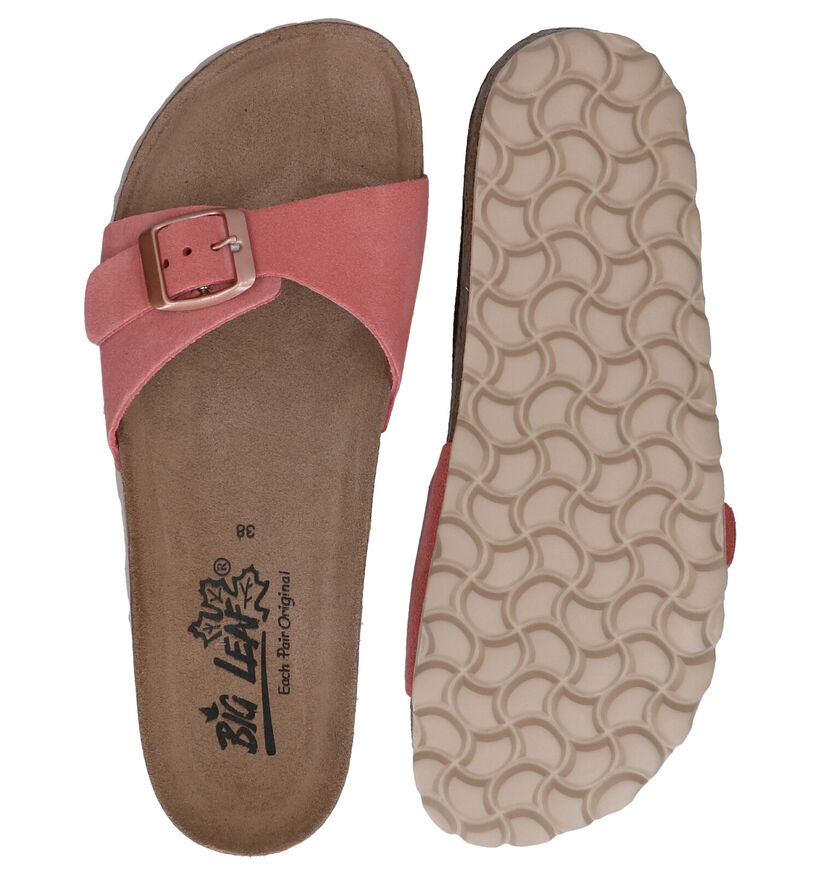 Big Leaf Roze Slippers in nubuck (292594)