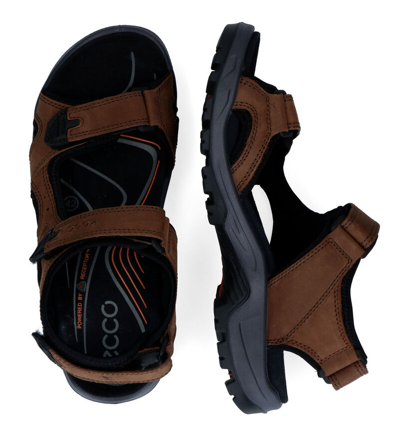 ECCO Offroad Sandales en Noir en textile (306677)