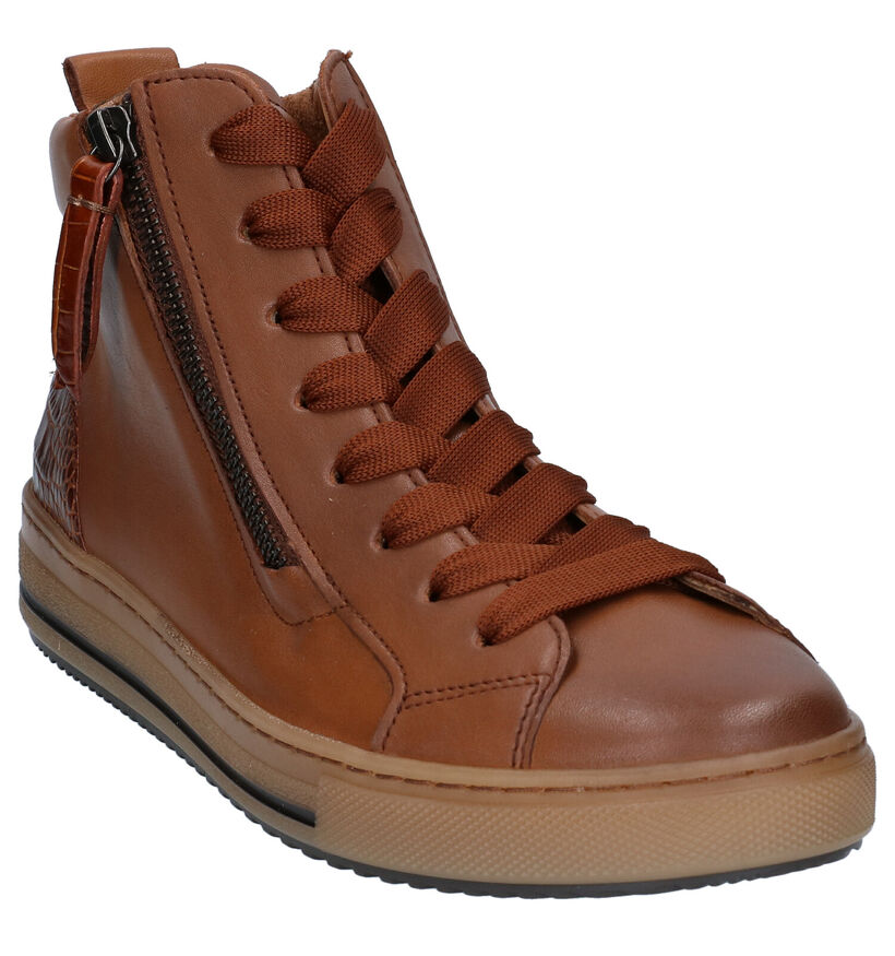 Gabor Optifit Bottillons en Cognac (282305)