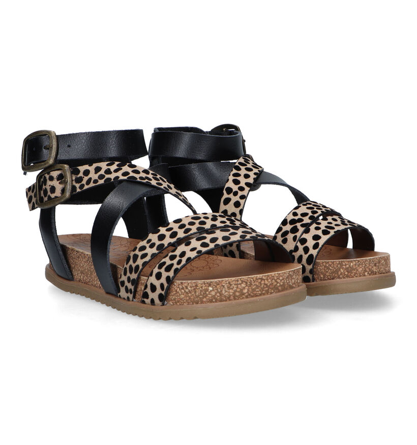 Blowfish Malibu Fandie Sandales en Noir pour femmes (322138)