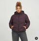 ONLY Carmakoma Clair Bruine Pufferjas met Kap voor dames (378389)