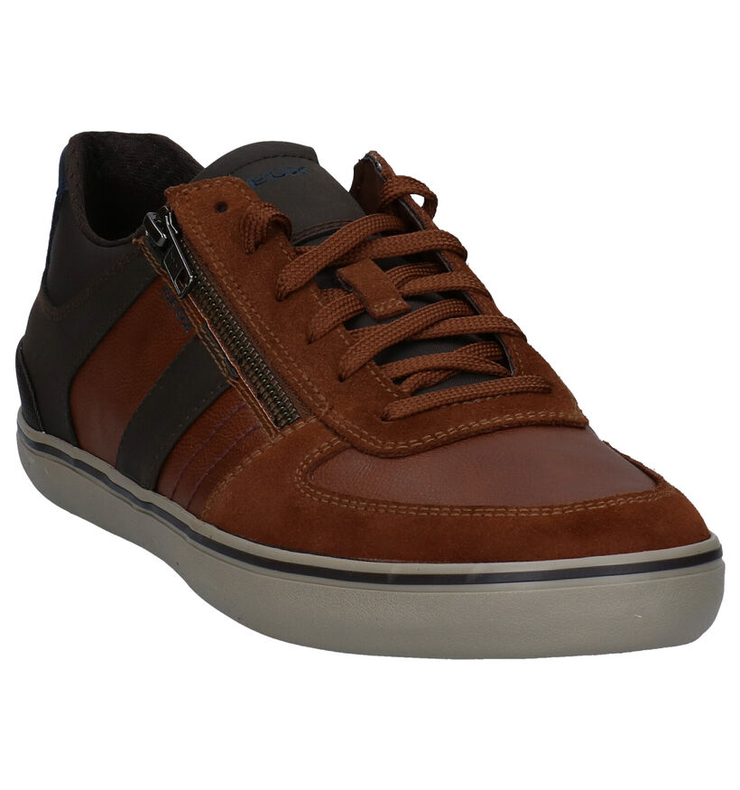 Geox Elver Chaussures basses en Brun en simili cuir (285142)