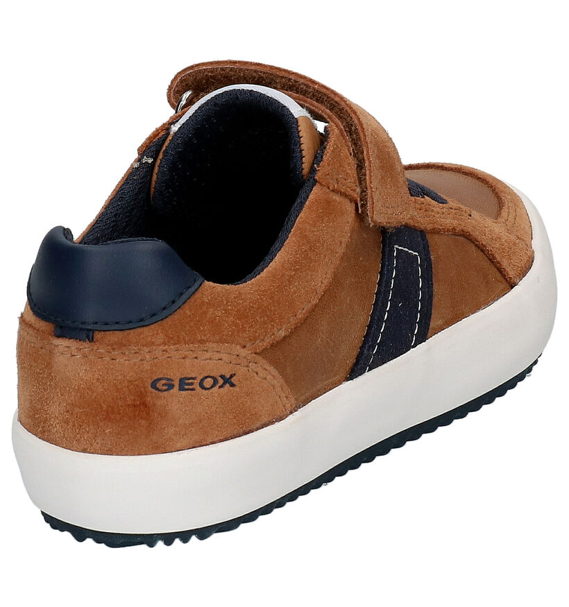 Geox Cognac Lage Sneakers in leer (265804)