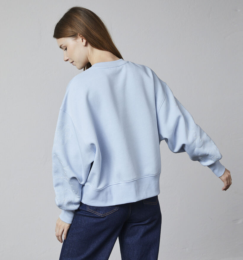 SISTERS POINT Hike Blauwe Sweater voor dames (359303)