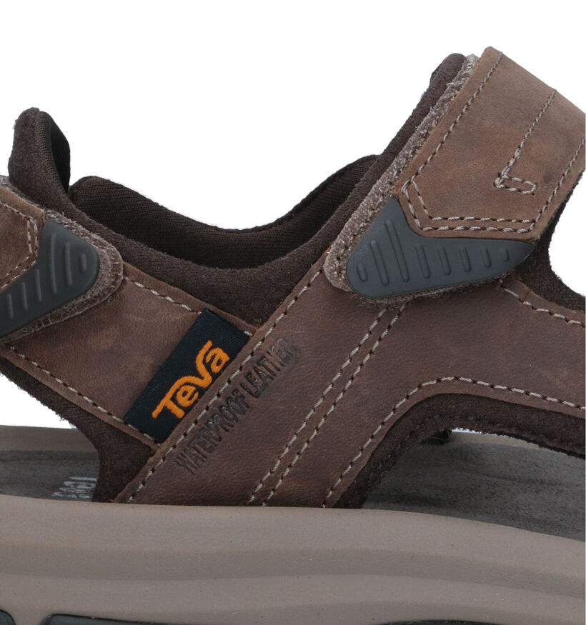 Teva Langdon Sandal Sandales de marche en Marron pour hommes (354633)