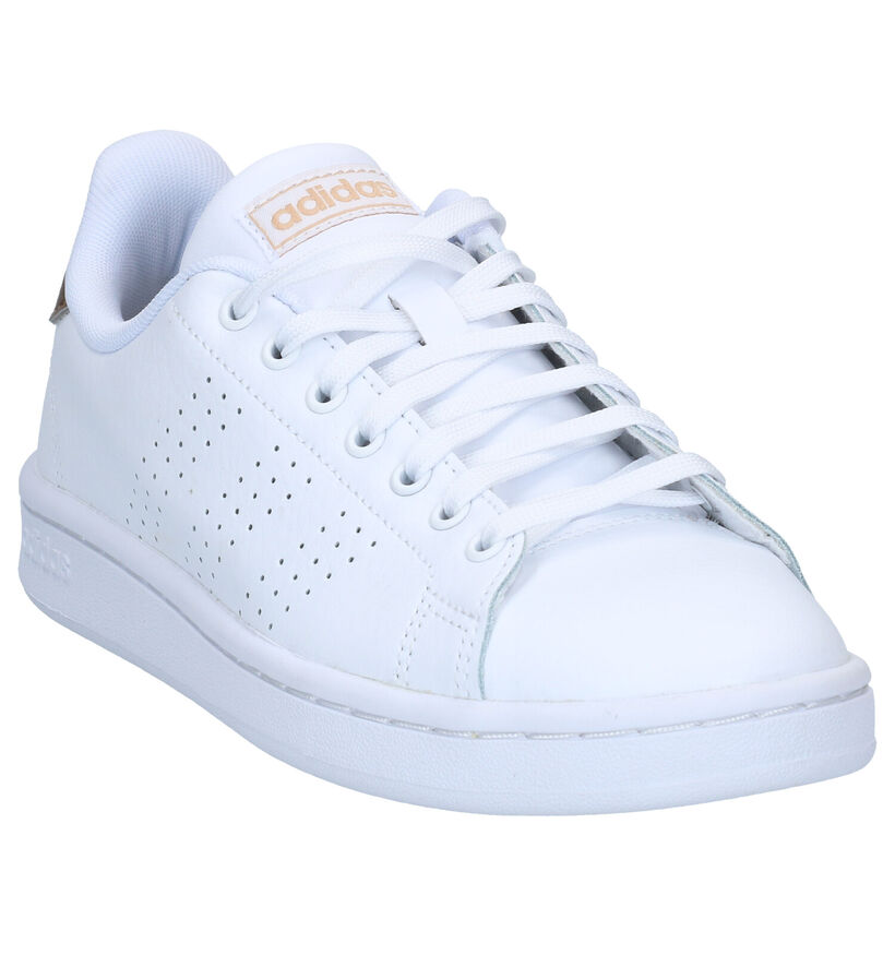 adidas Advantage Baskets en Blanc en cuir (284790)