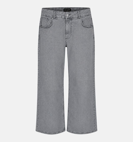 ONLY Carmakoma Jeans Grijs