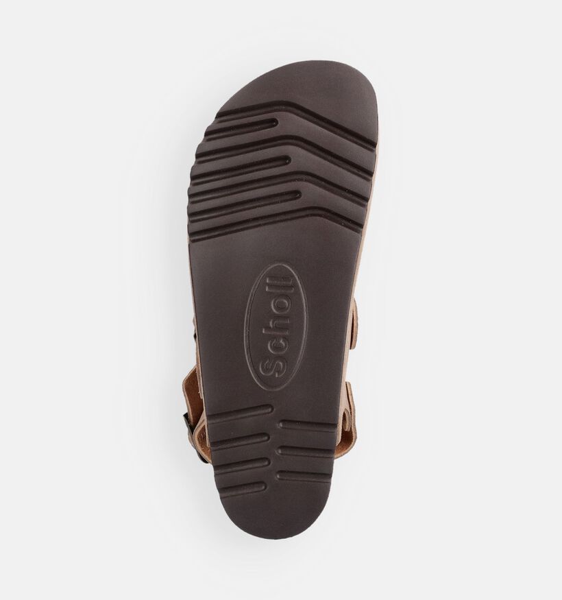 Scholl Olivier Nu-pieds en Beige pour hommes (369899)