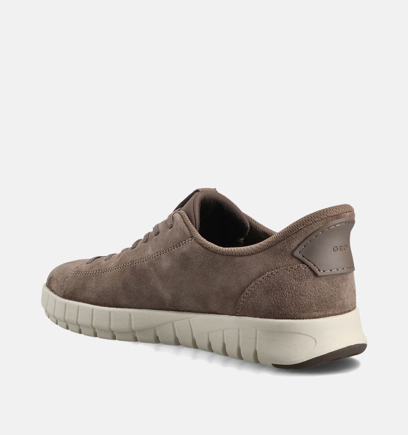 Geox Taupe Veterschienen voor heren (370525) - geschikt voor steunzolen