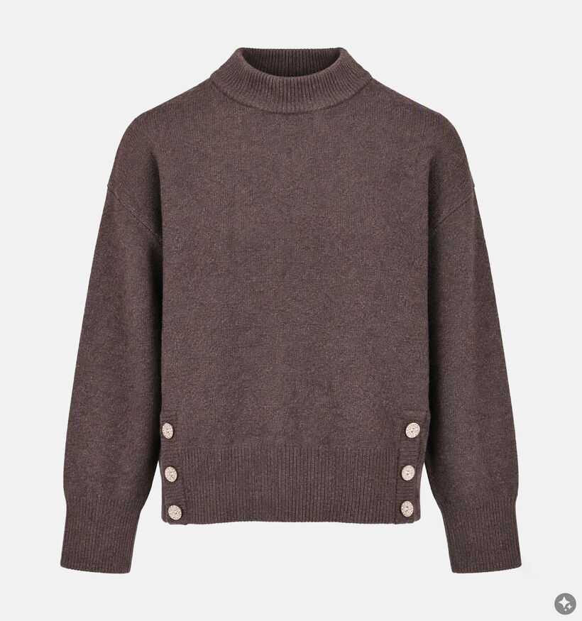 Deeluxe Original Nina Donkerbruine Trui met Knoopdetail voor dames (382268)