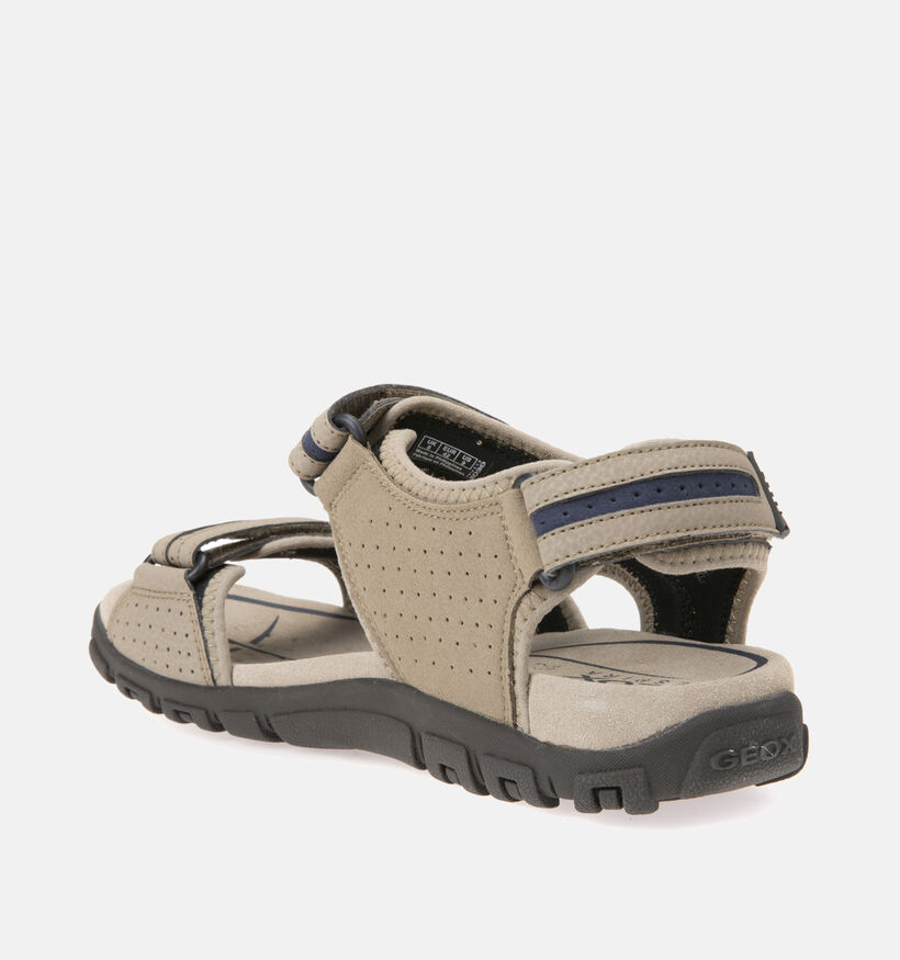 Geox Uomo Sandales de marche en Marron pour hommes (351636)