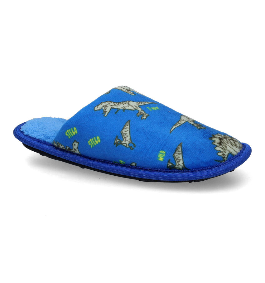 BBS Blauwe Pantoffels