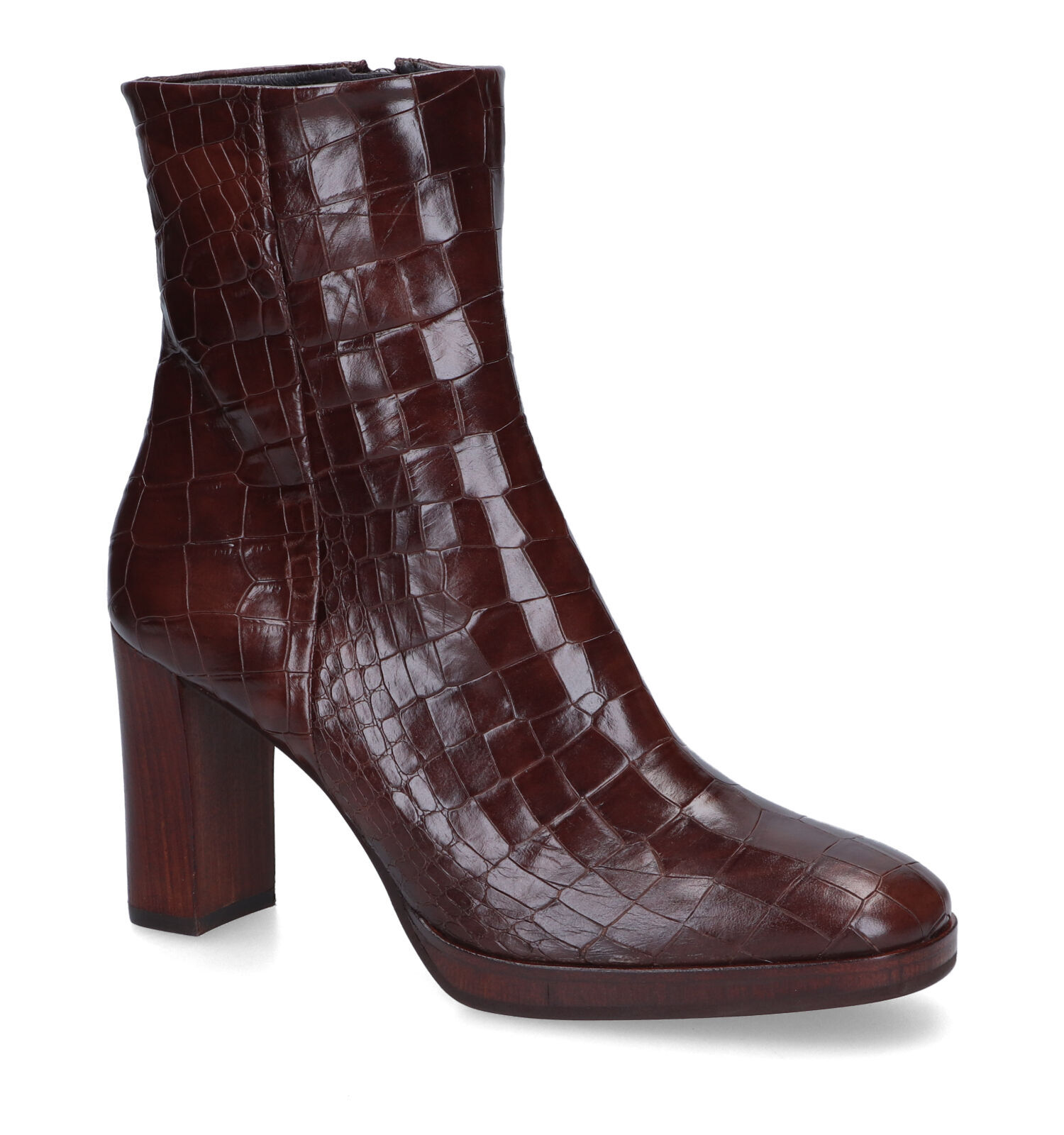 Enkellaarzen dames bruin | Online op TORFS.BE | Gratis verzending en retour