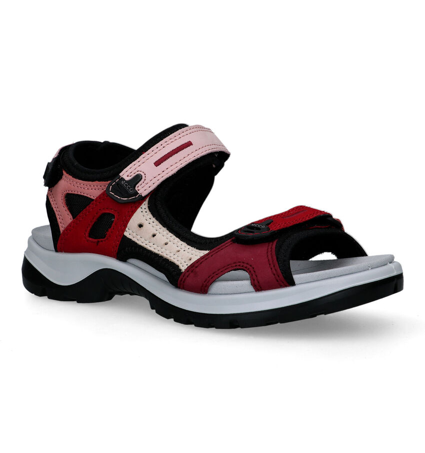 Meisje kloon Bedreven ECCO dames sandalen | Online op TORFS.BE | Gratis verzending en retour