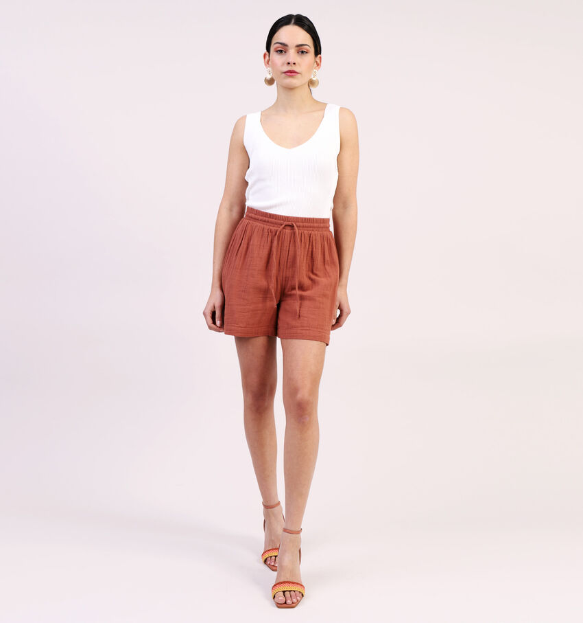 Pieces Tina Bruine Short