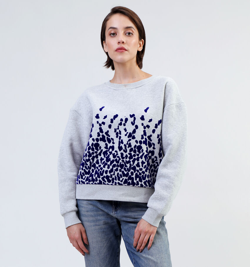 Orfeo Clarice Grijze Sweater