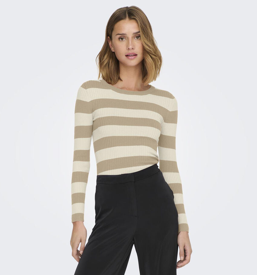 JDY Plum Beige Gestreepte trui