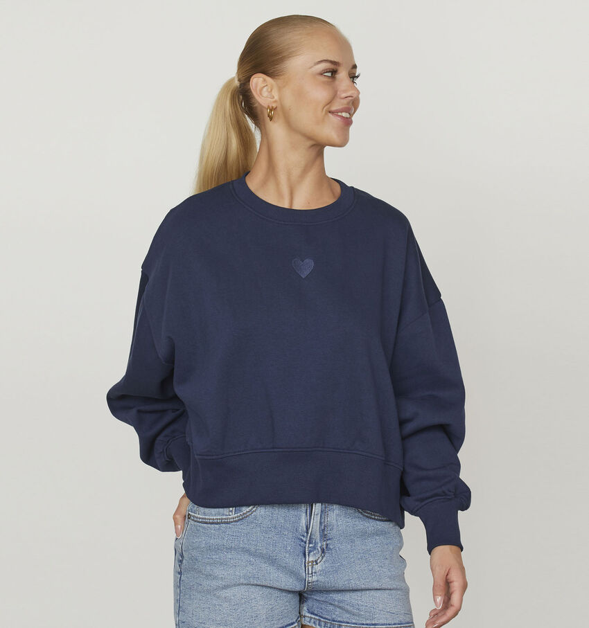 SISTERS POINT Hike Sweater en Bleu