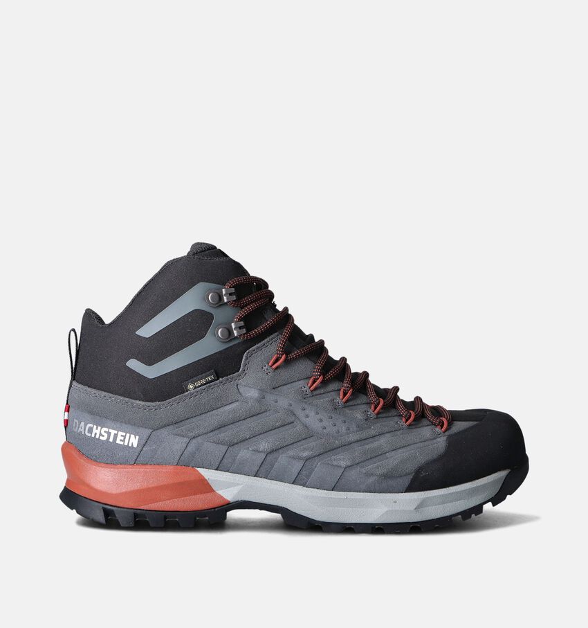 Dachstein Grijze Wandelschoenen