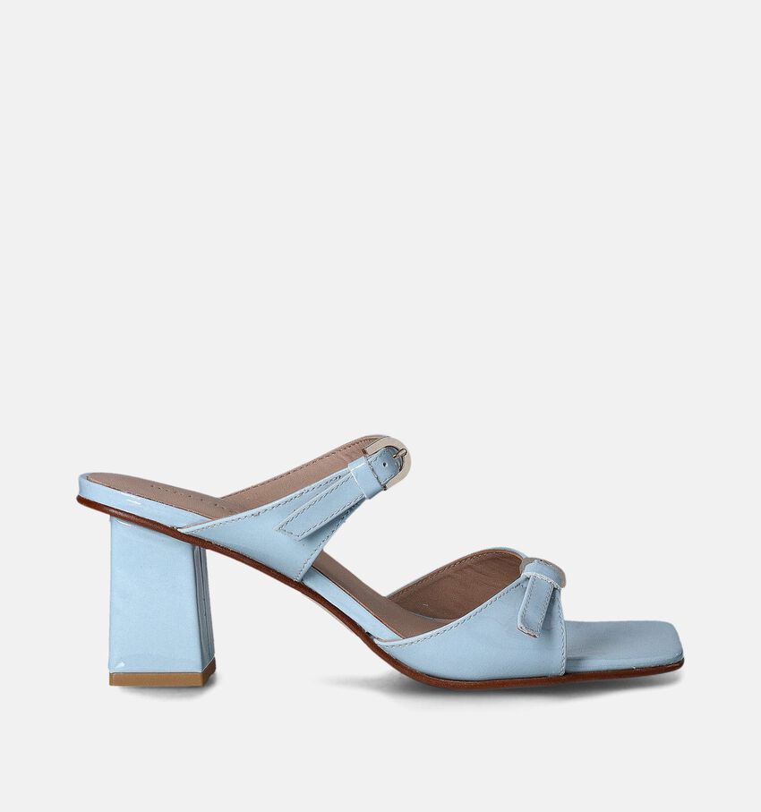 March23 Dani Blauwe Sandalen met blokhak