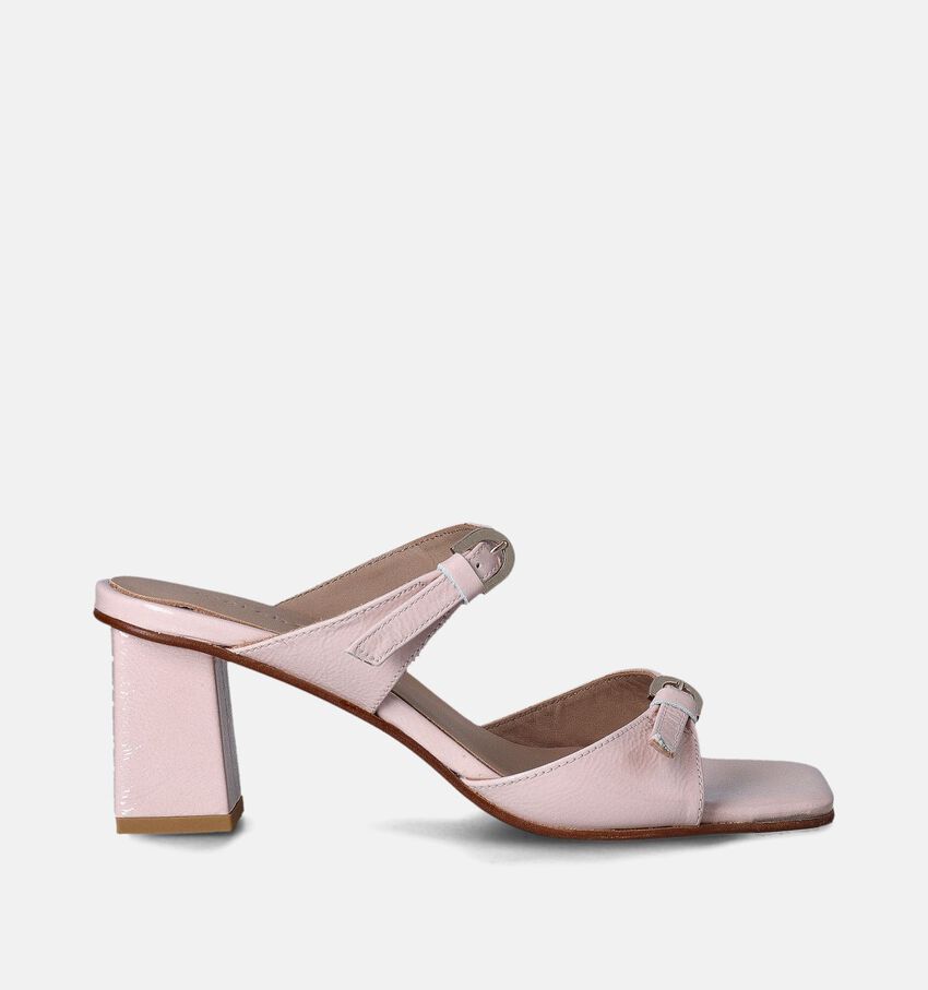 March23 Dani Roze Sandalen met Blokhak