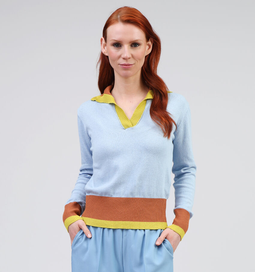 Laurent David Blauwe Polo Trui