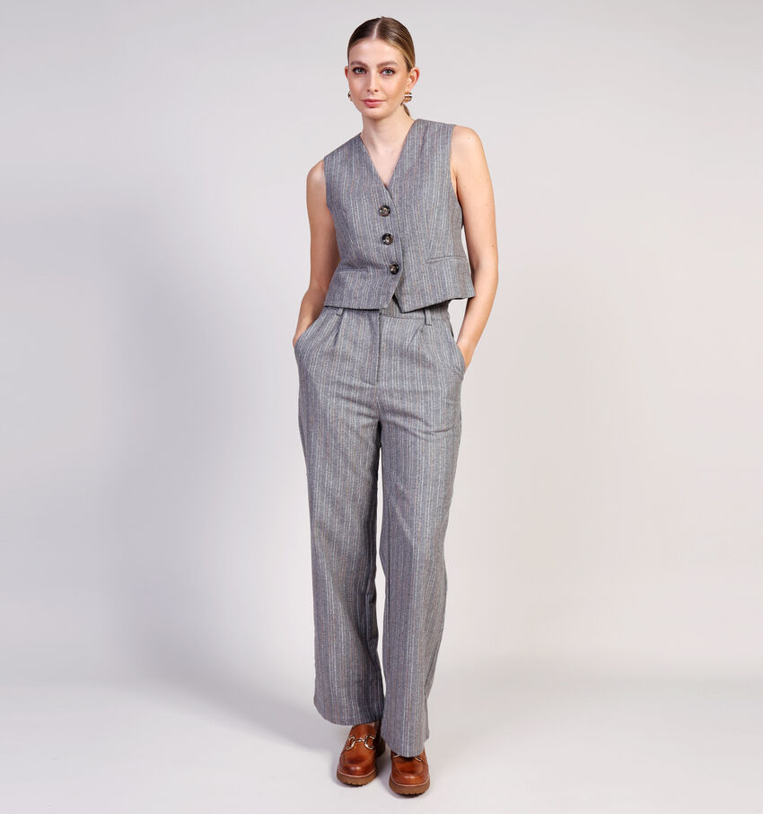 Orfeo Pantalon classiques en Gris